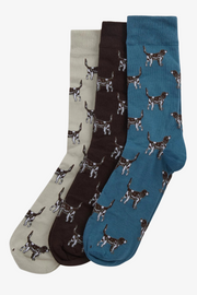 Pointer Dog Socks Gift Box | Barbour Barbour