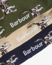 Pointer Dog Socks Gift Box | Barbour Barbour