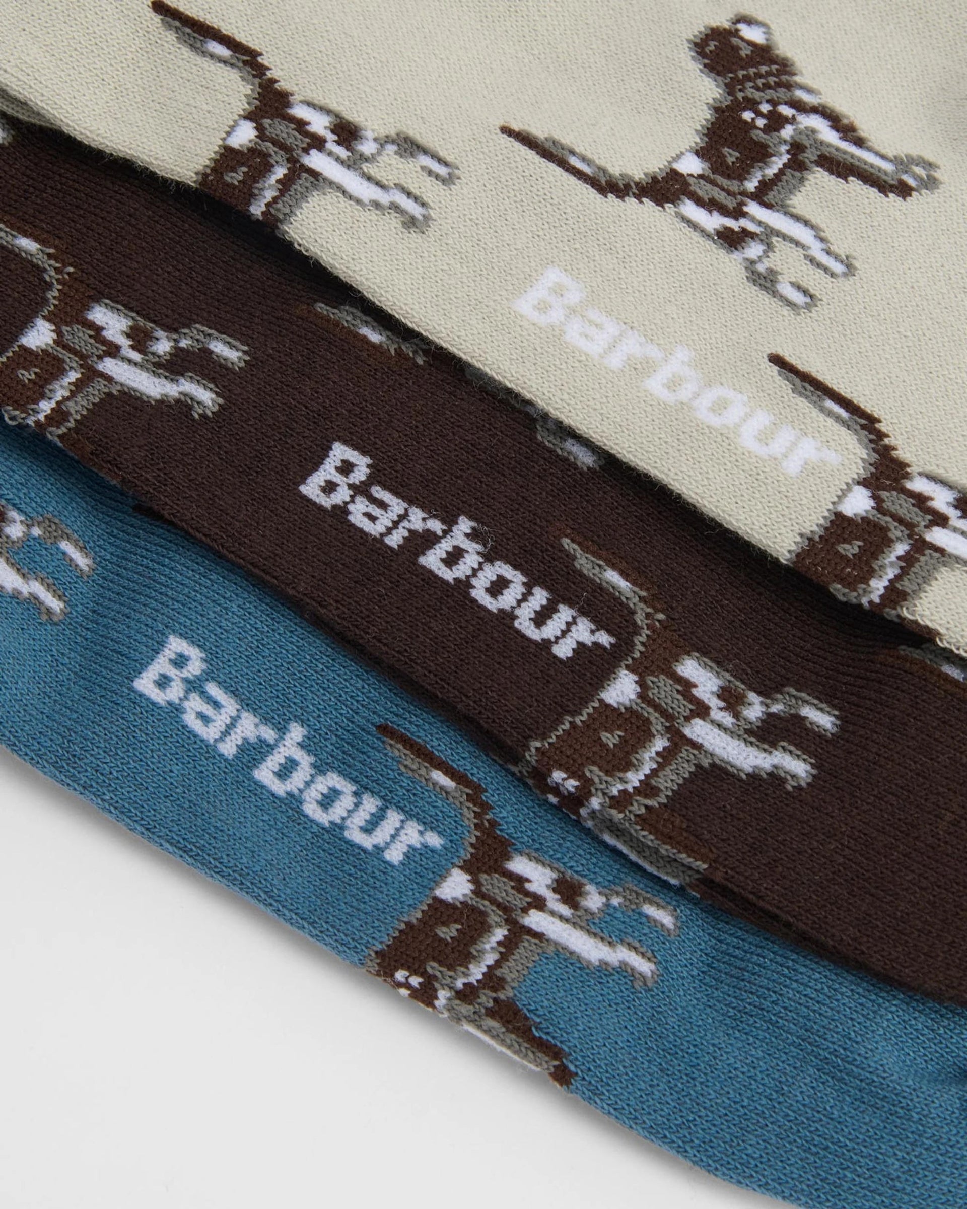 Pointer Dog Socks Gift Box | Barbour Barbour