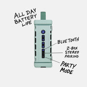 Turtlebox Ranger Speaker - River Rock Turtlebox Audio