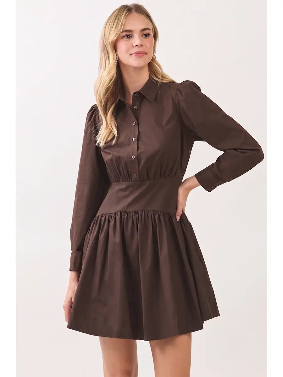 Button Down Shirt Mini Dress Pinch