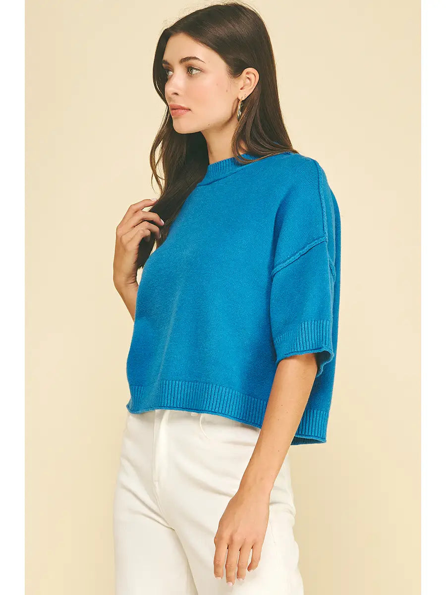 Soft Knit Short Sleeve Sweater Top Pinch