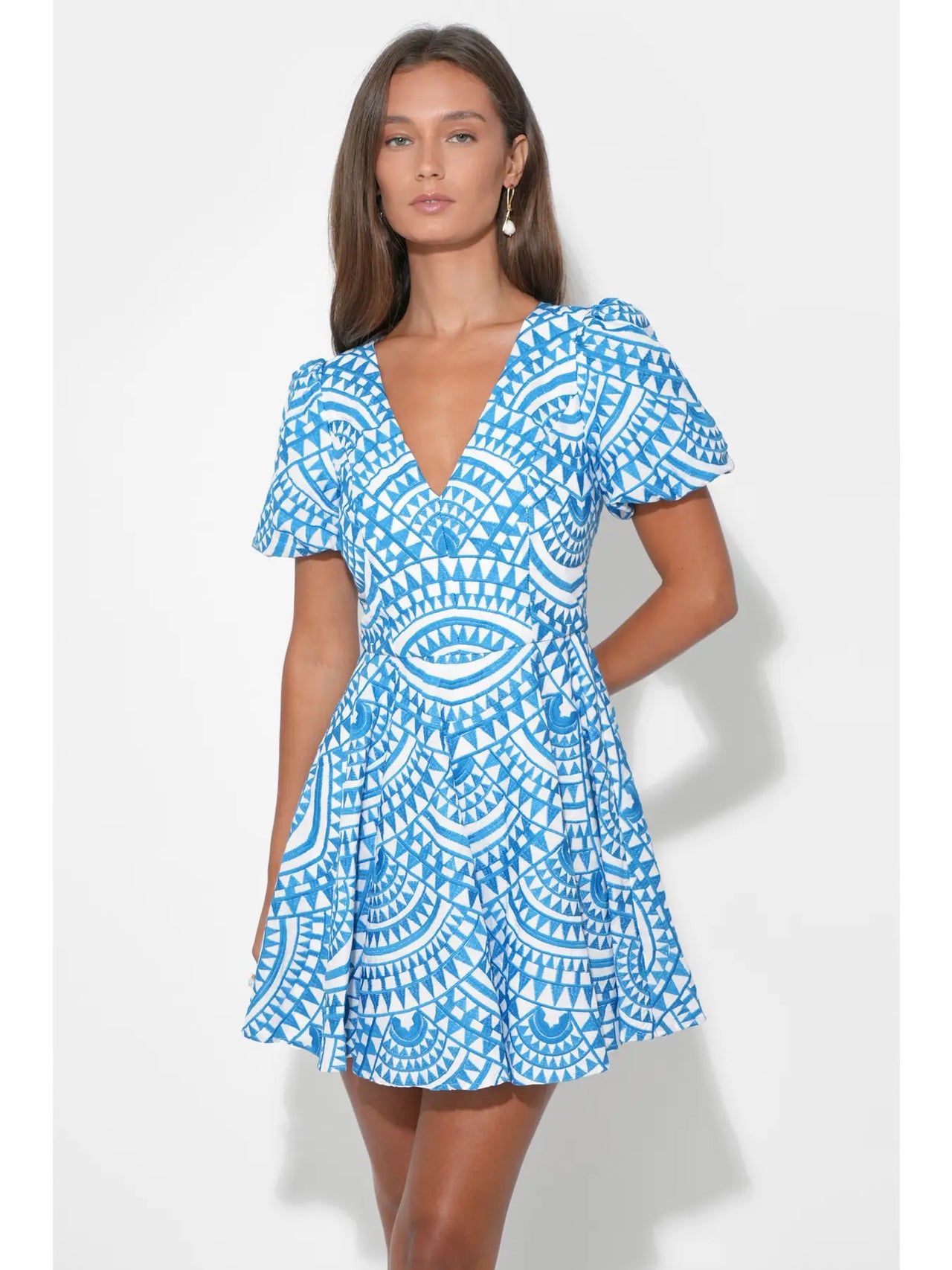 Genesis Fit & Flare Embroidery Mini Dress