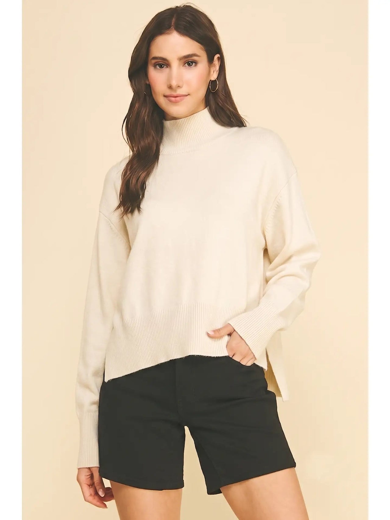 Turtle Neck Hi-Lo Sweater Pinch