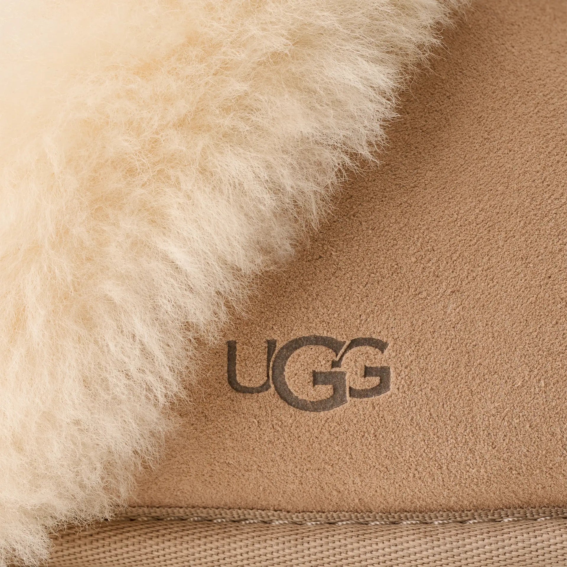 Women's Scuffette II Slippers | Ugg Ugg