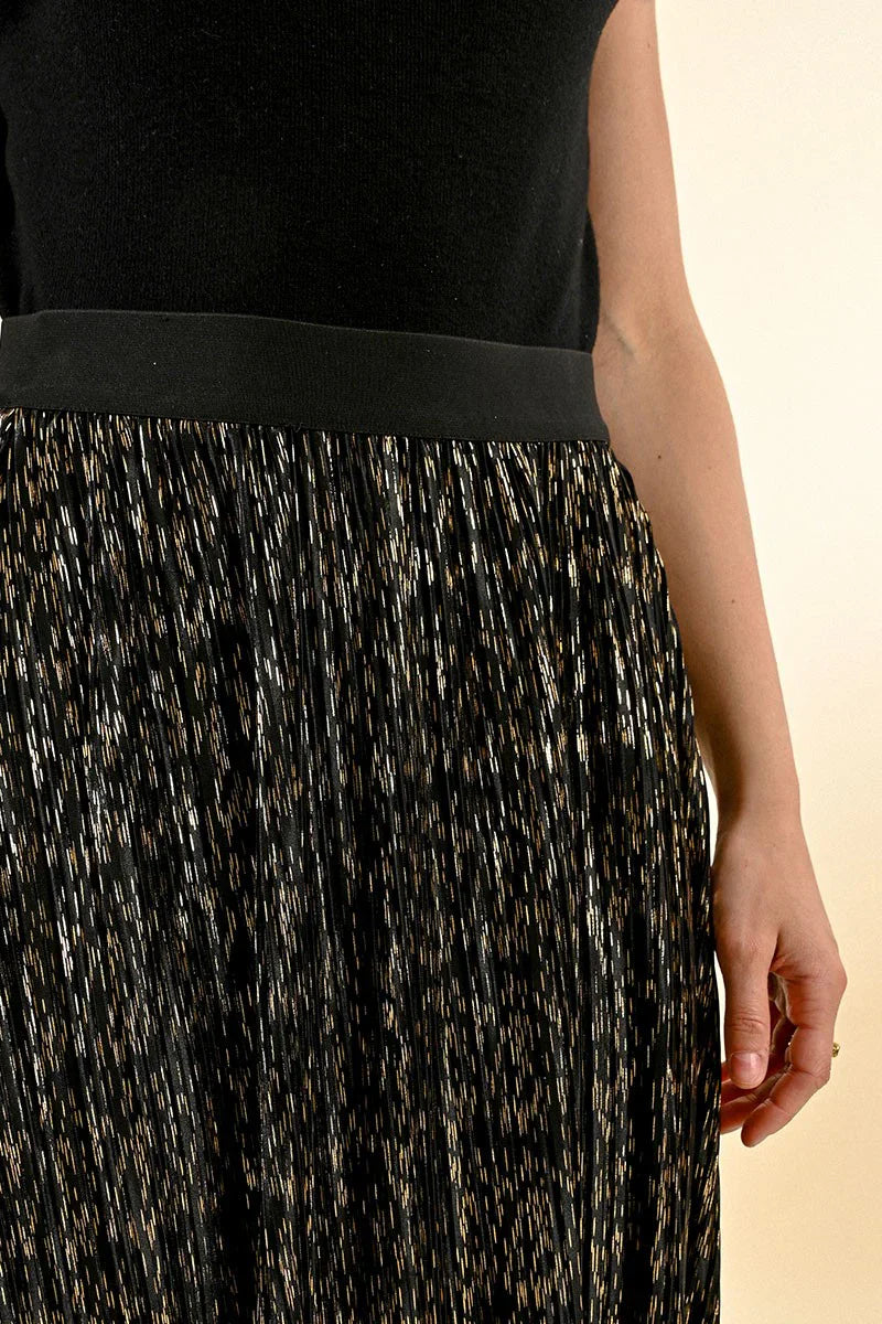 Long Pleated Skirt