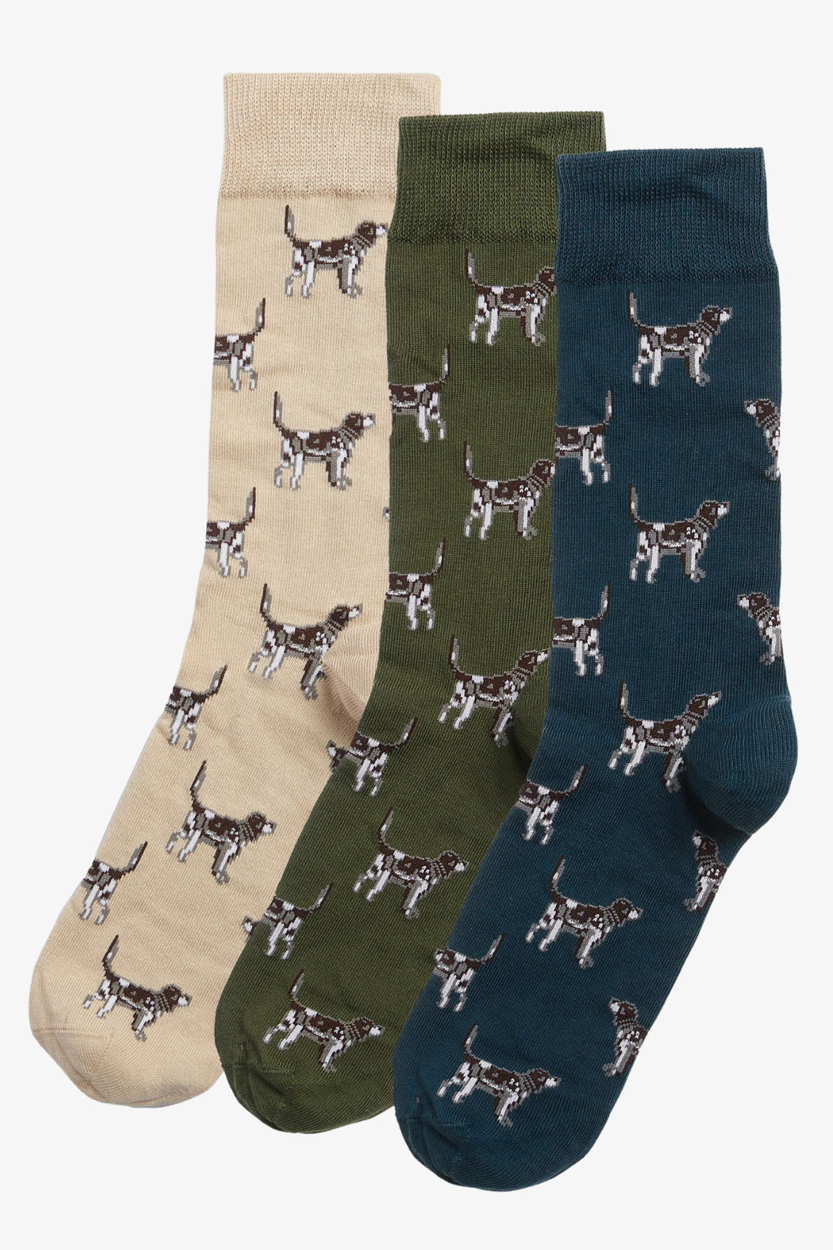 Pointer Dog Socks Gift Box | Barbour Barbour
