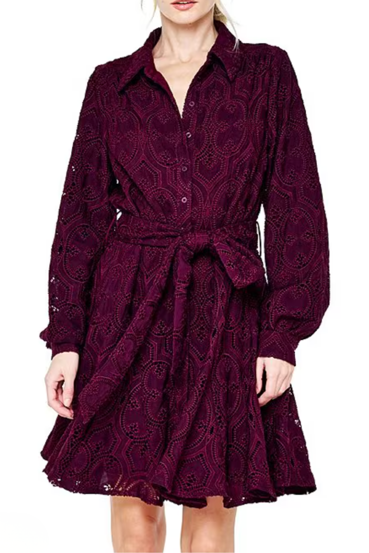 Serane Embroidered Lace Shirt Dress Ciebon