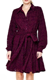 Serane Embroidered Lace Shirt Dress Ciebon