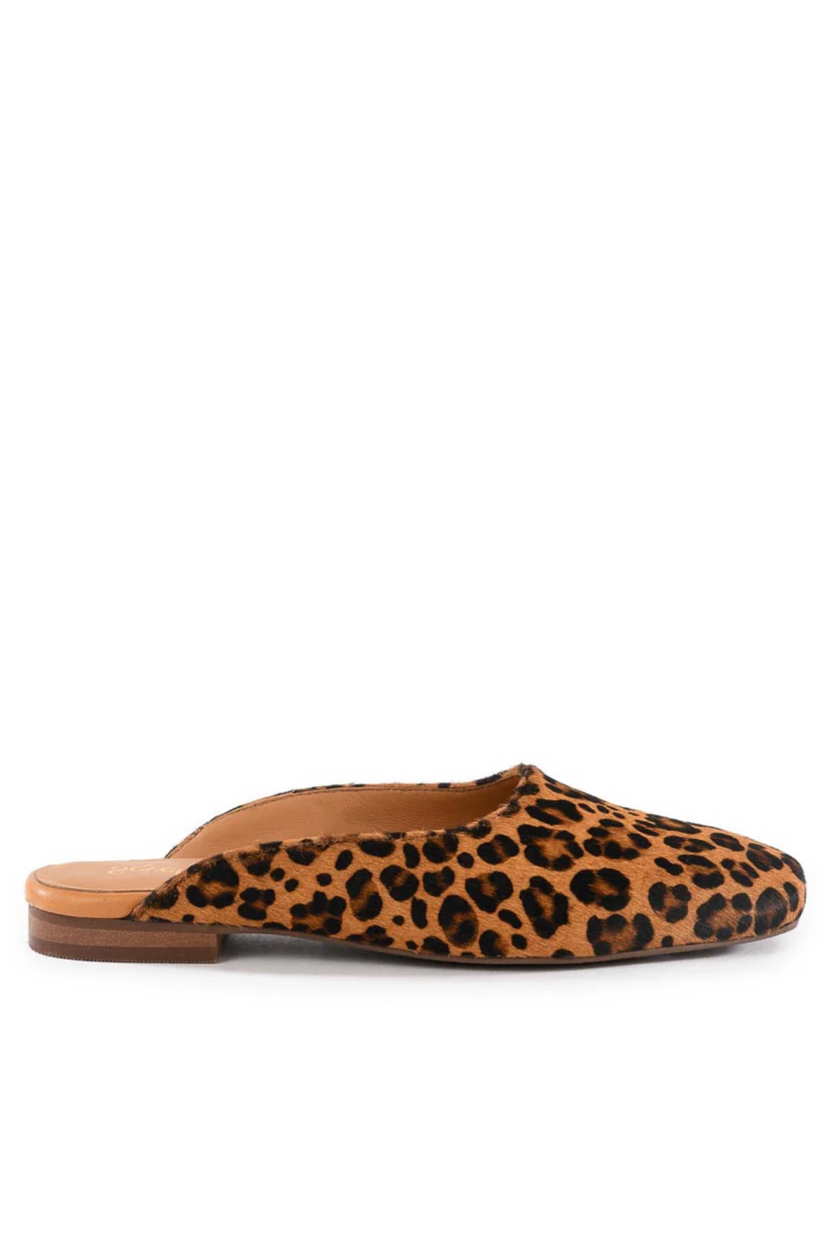Prim And Proper Mule Seychelles