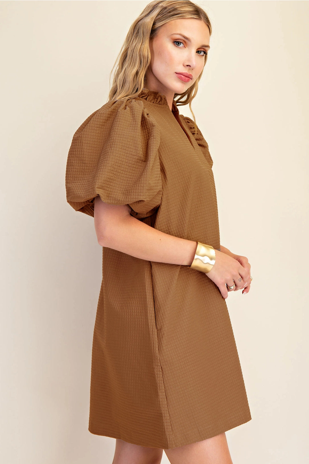 Ruffle V-Neck Puff Sleeve Mini Dress Glam