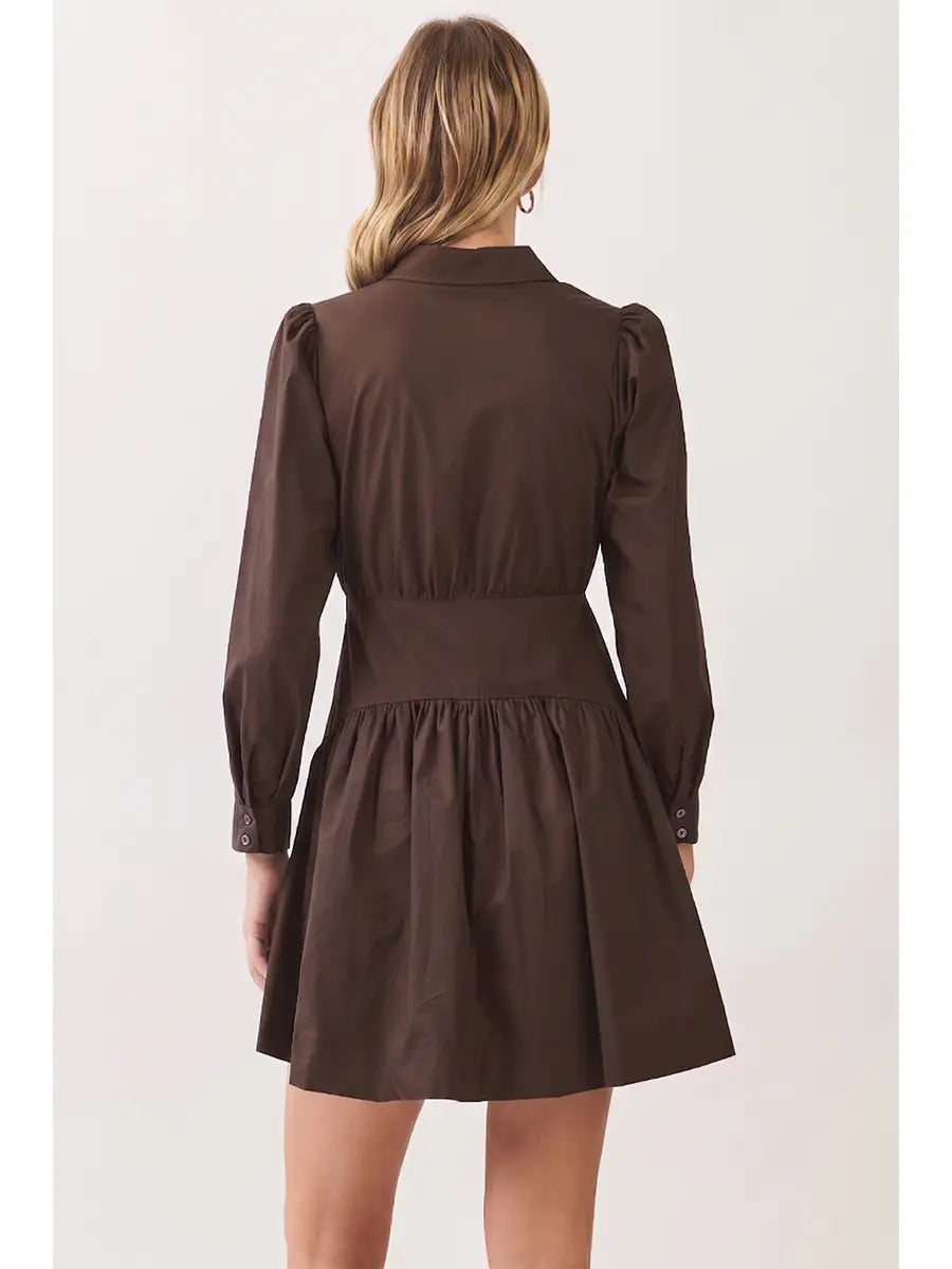 Button Down Shirt Mini Dress Pinch