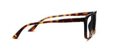 Otto Glasses in Tortoise | Peepers Peepers