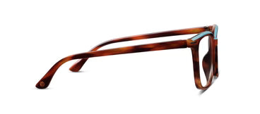 Dante Glasses in Tortoise Horn | Peepers Peepers