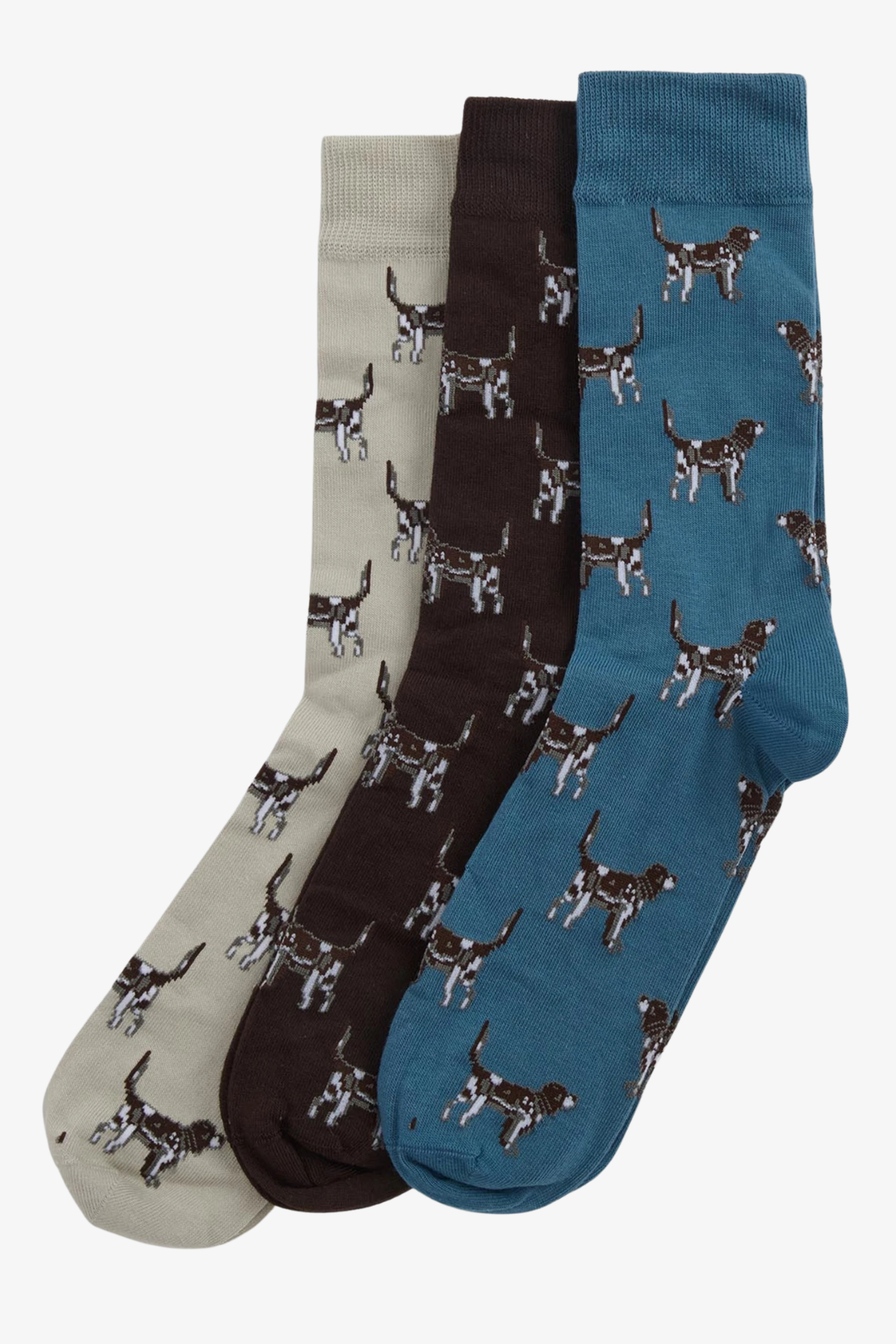 Pointer Dog Socks Gift Box | Barbour Barbour