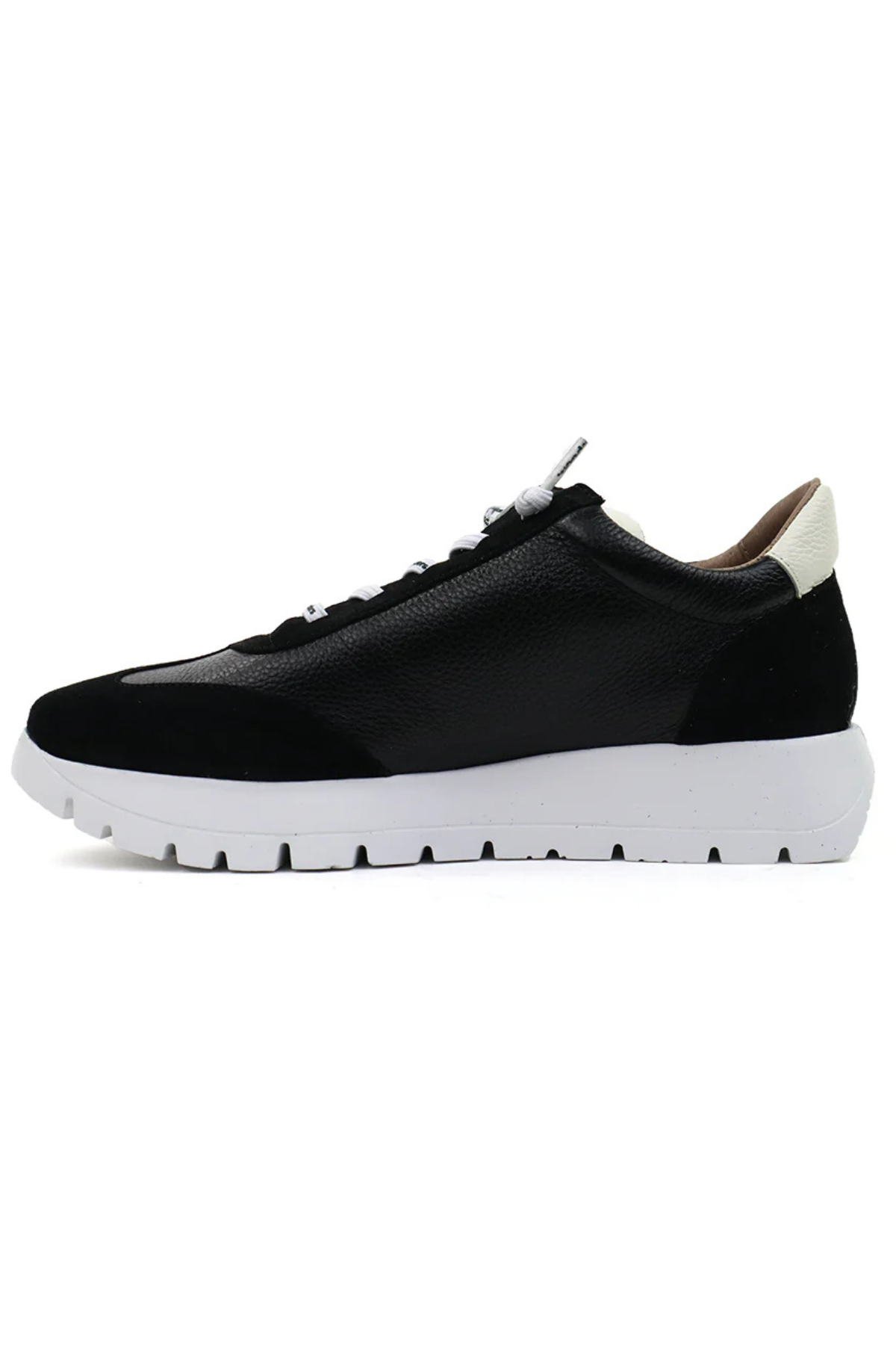 Racer Sneakers Wonders