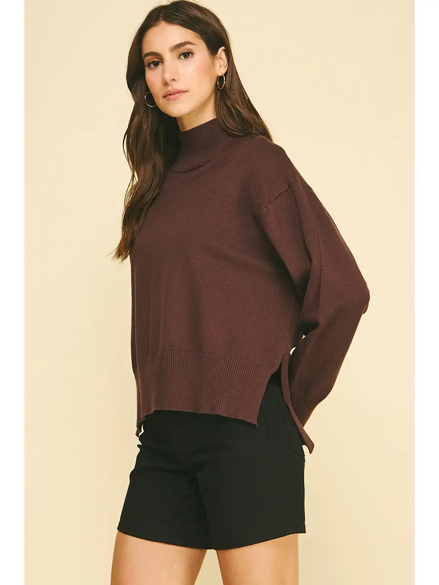 Turtle Neck Hi-Lo Sweater with Slit Back Pinch