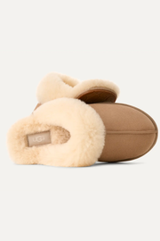 Women's Scuffette II Slippers | Ugg Ugg
