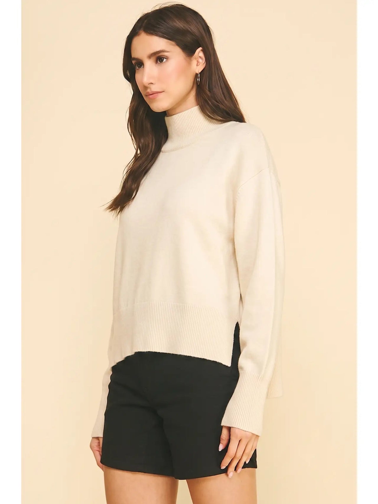 Turtle Neck Hi-Lo Sweater Pinch