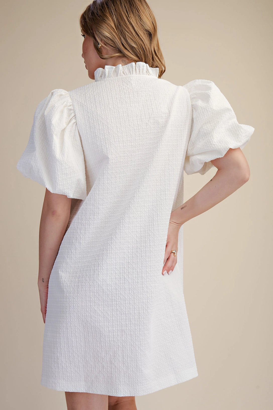Textured Fabric Ruffle V-Neck Puff Sleeve Mini Dress Glam