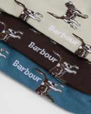 Pointer Dog Socks Gift Box | Barbour Barbour