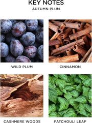 Nest Autumn Plum Votive 2oz Candle Nest