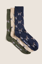 Pointer Dog Socks Gift Box | Barbour Barbour
