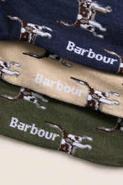 Pointer Dog Socks Gift Box | Barbour Barbour