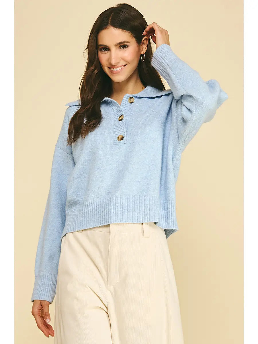 Collared Button Down Sweater Pinch