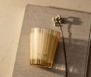 Nest Winter Chai Classic 8.1oz Candle Nest