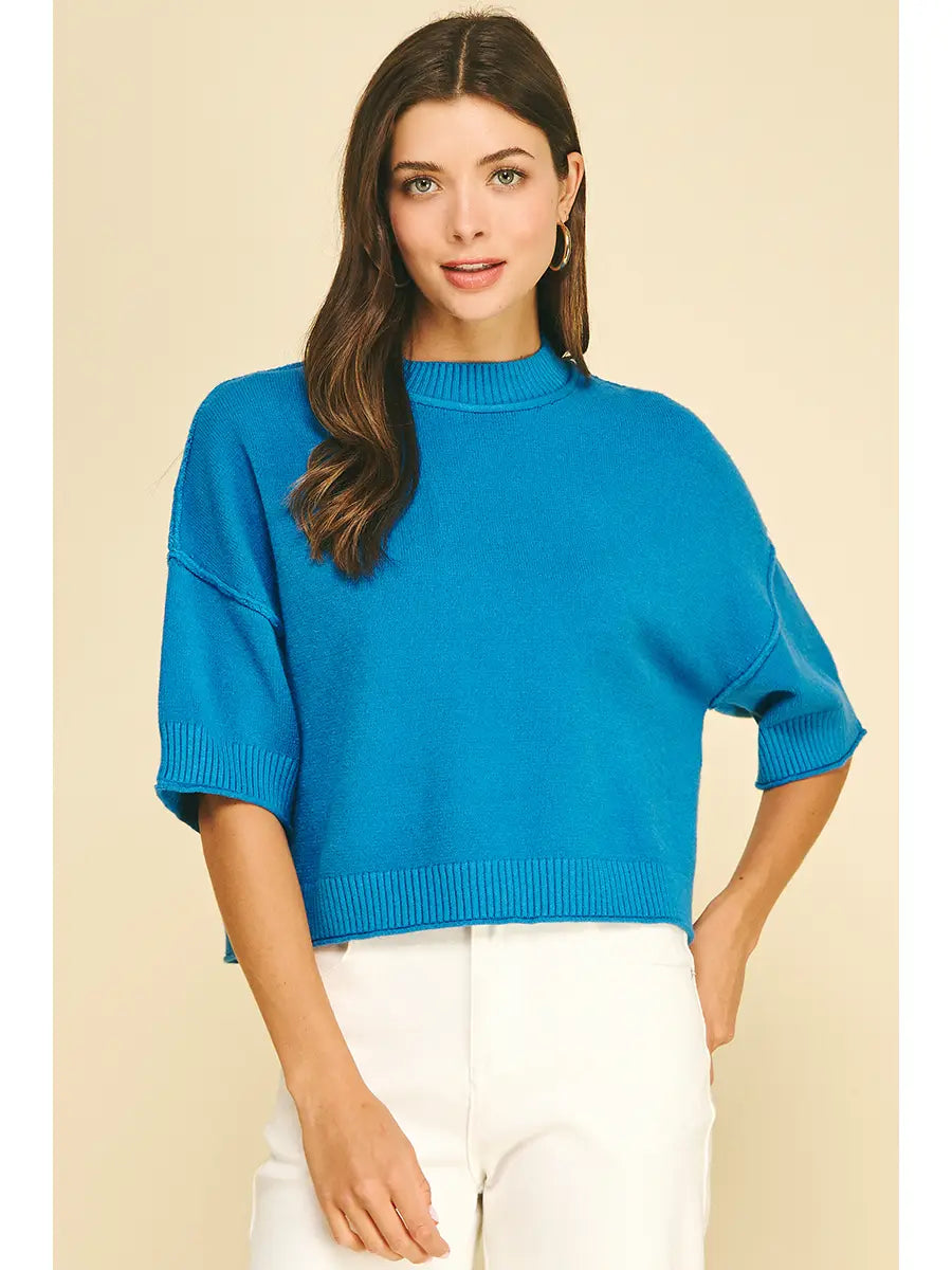 Soft Knit Short Sleeve Sweater Top Pinch