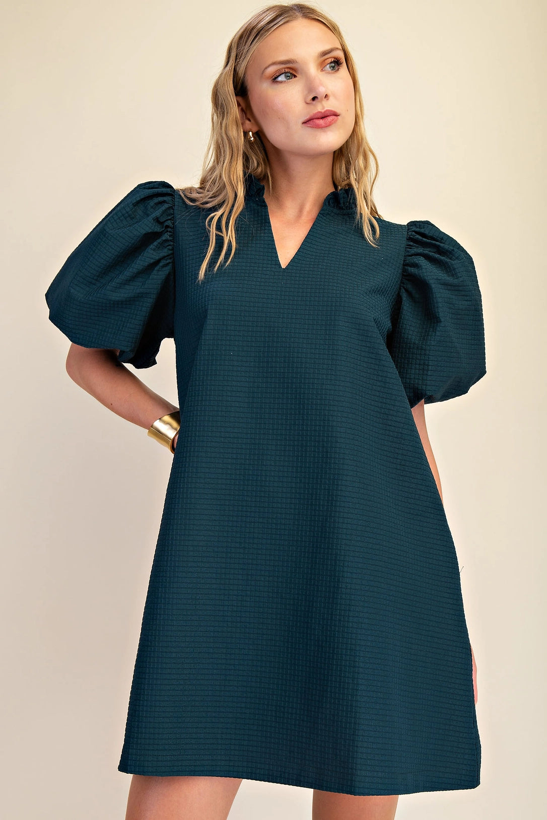 Ruffle V-Neck Puff Sleeve Mini Dress Glam