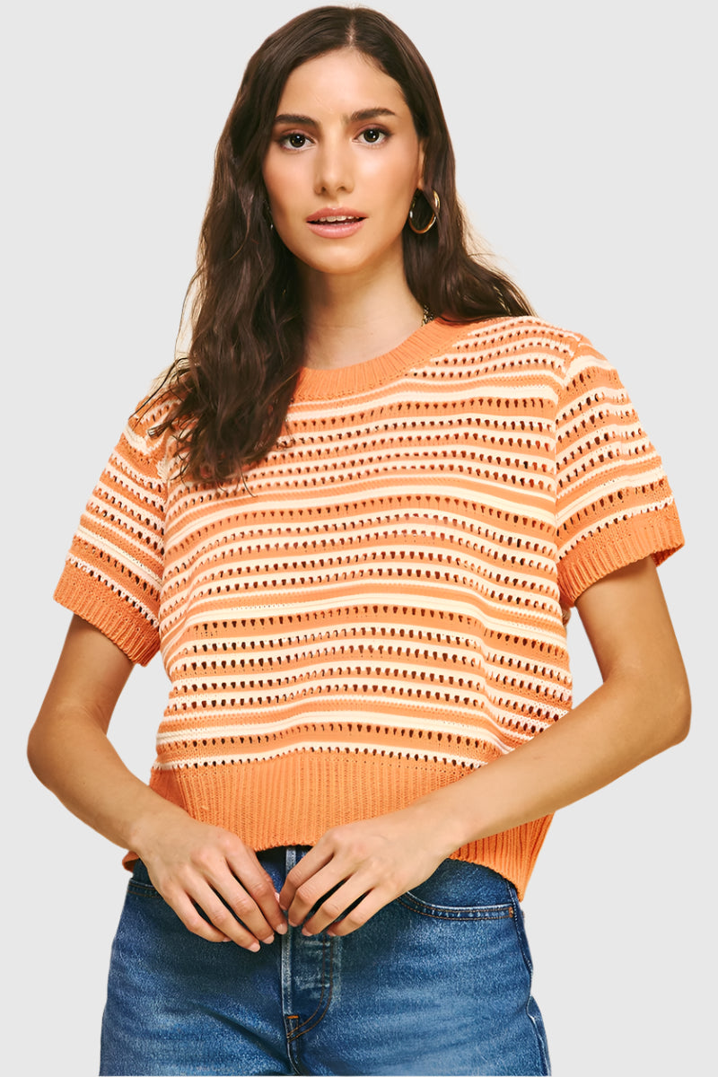 Eyelet Stripe Short Sleeve Sweater