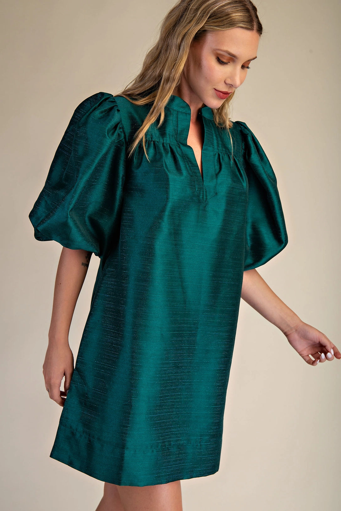 Round Neck Puff Sleeve Mini Dress Glam