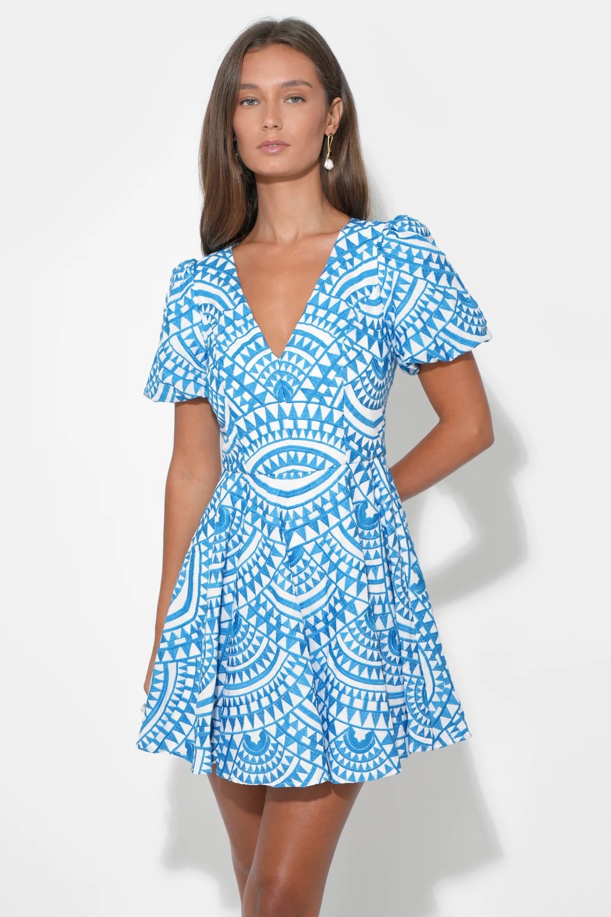 Genesis Fit & Flare Embroidery Mini Dress Adelyn Rae