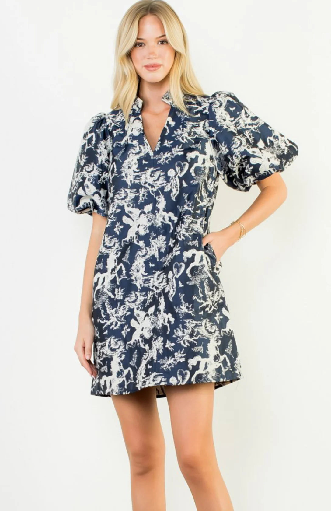 Zaria Puff Sleeve Print V-Neck Dress