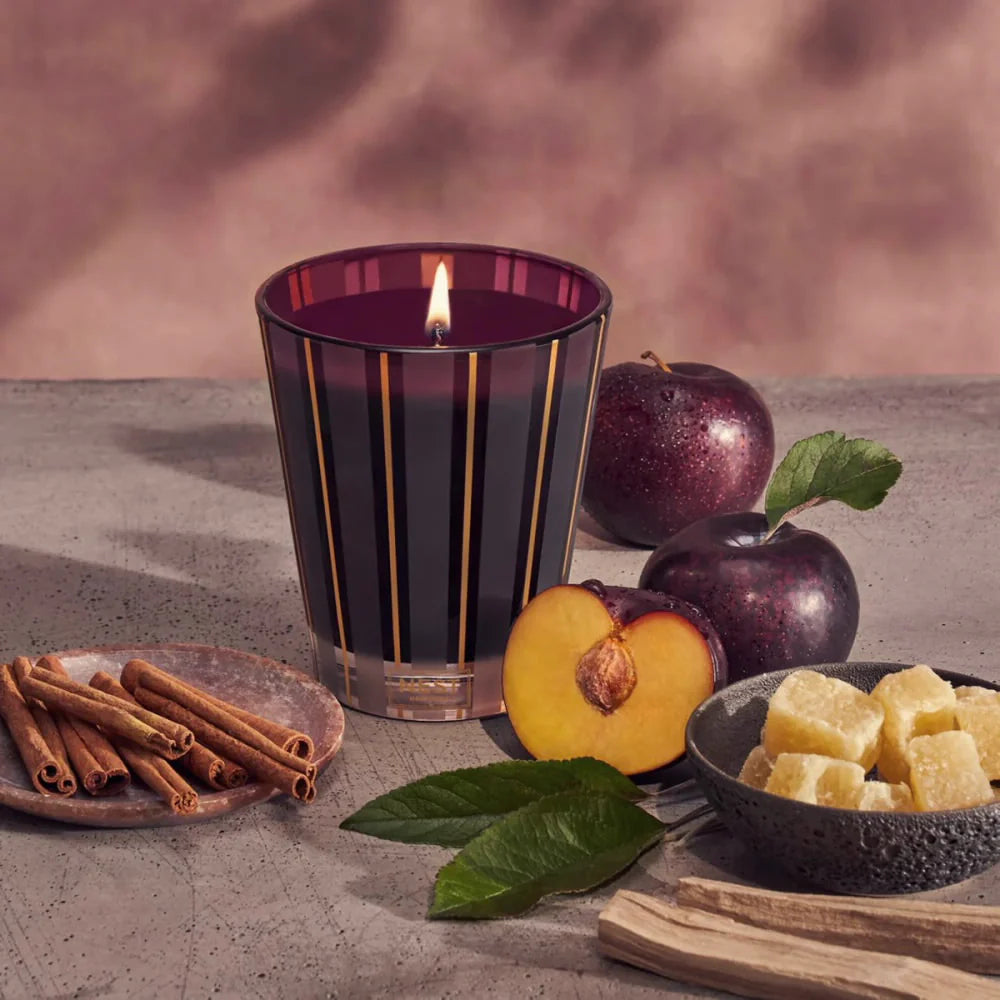 Nest Autumn Plum Classic 8.1oz Candle Nest