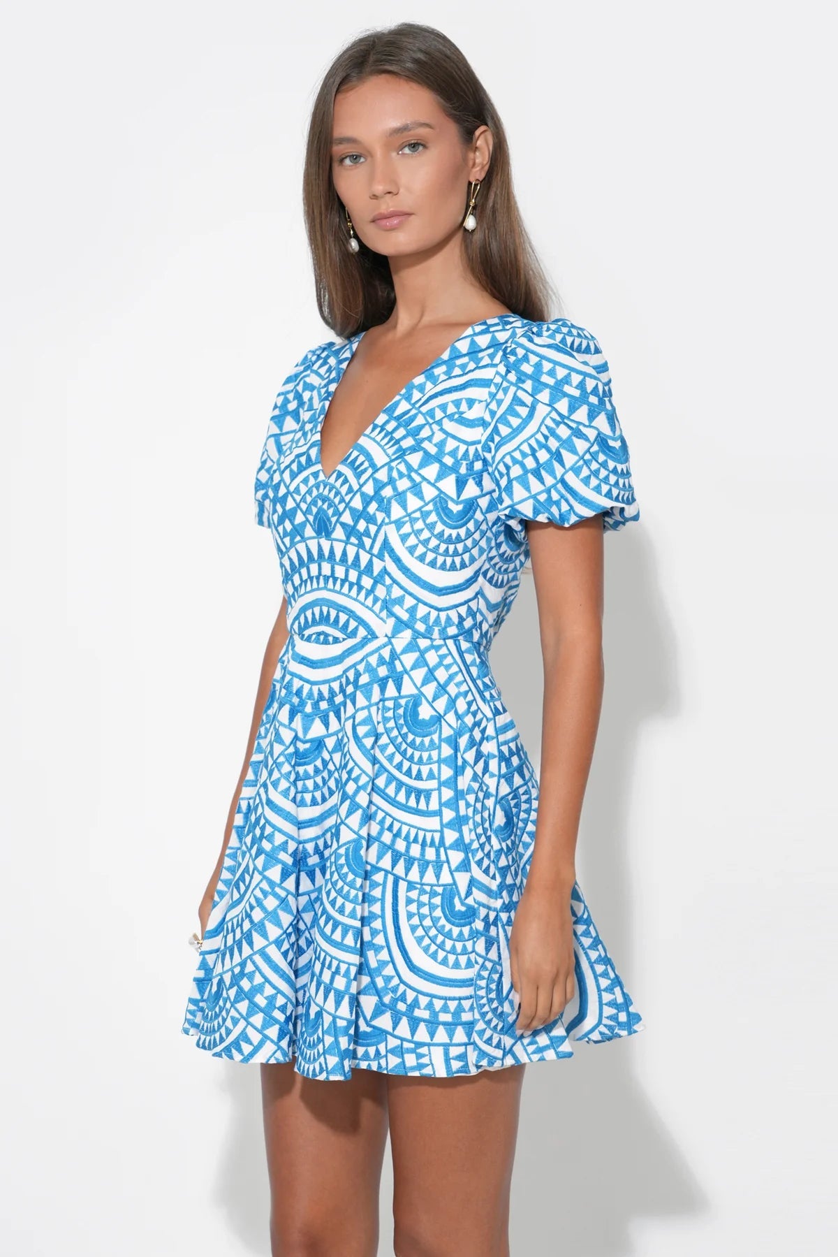 Genesis Fit & Flare Embroidery Mini Dress Adelyn Rae
