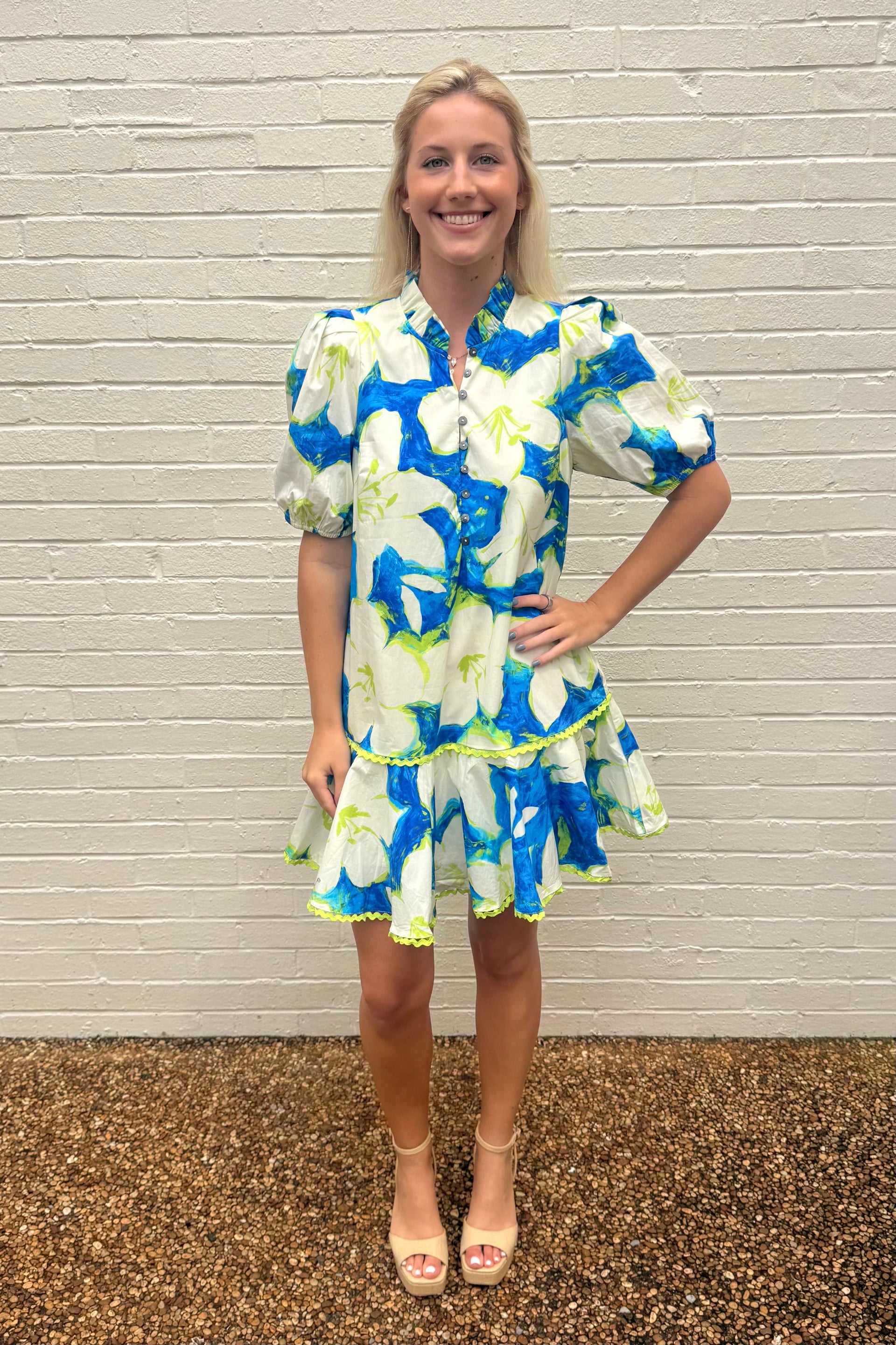Lilly Puff Sleeve Mini Dress Entro