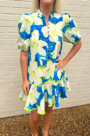 Lilly Puff Sleeve Mini Dress Entro