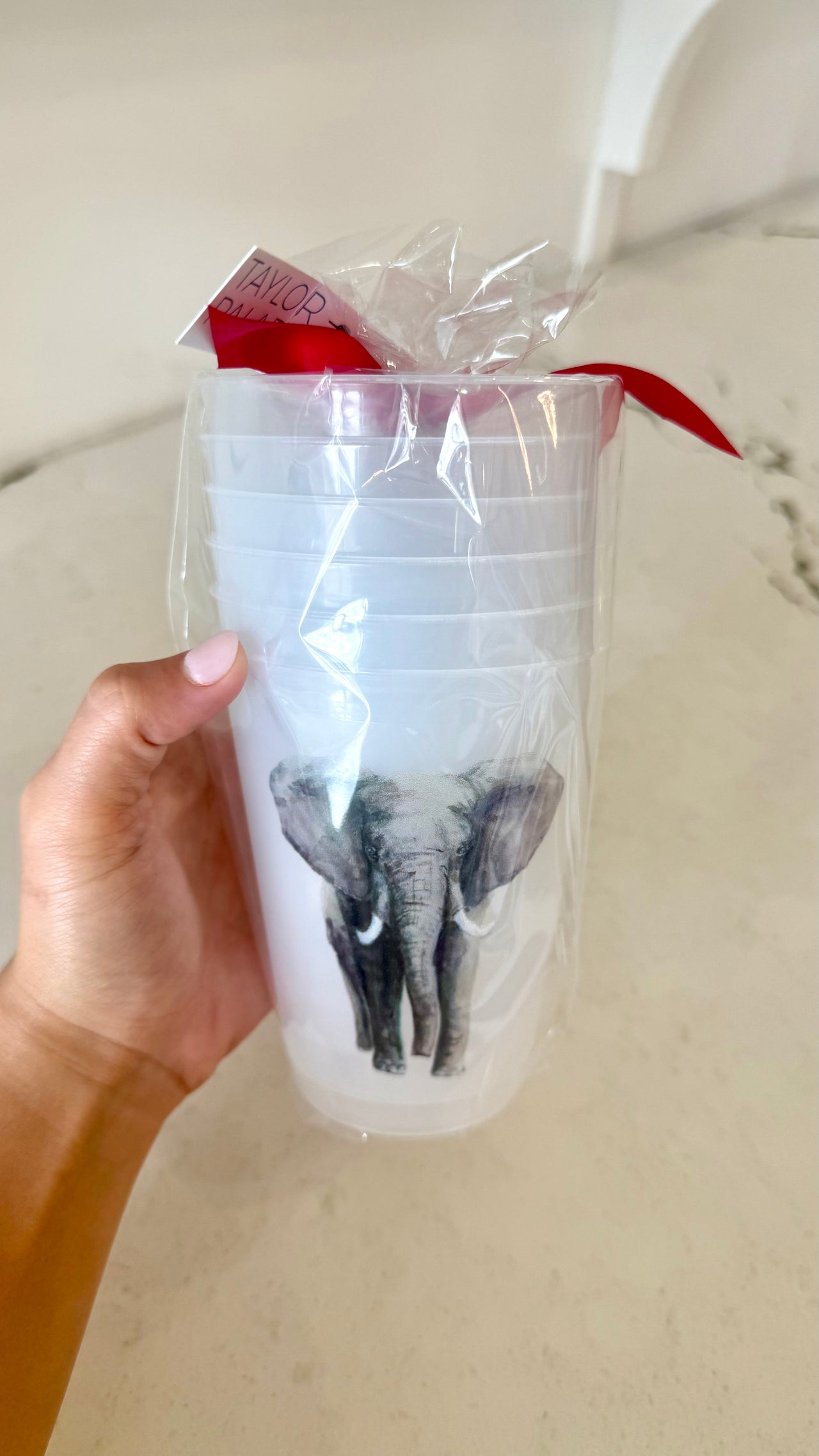 Frosted Cups | Set of 6 Taylor Paladino