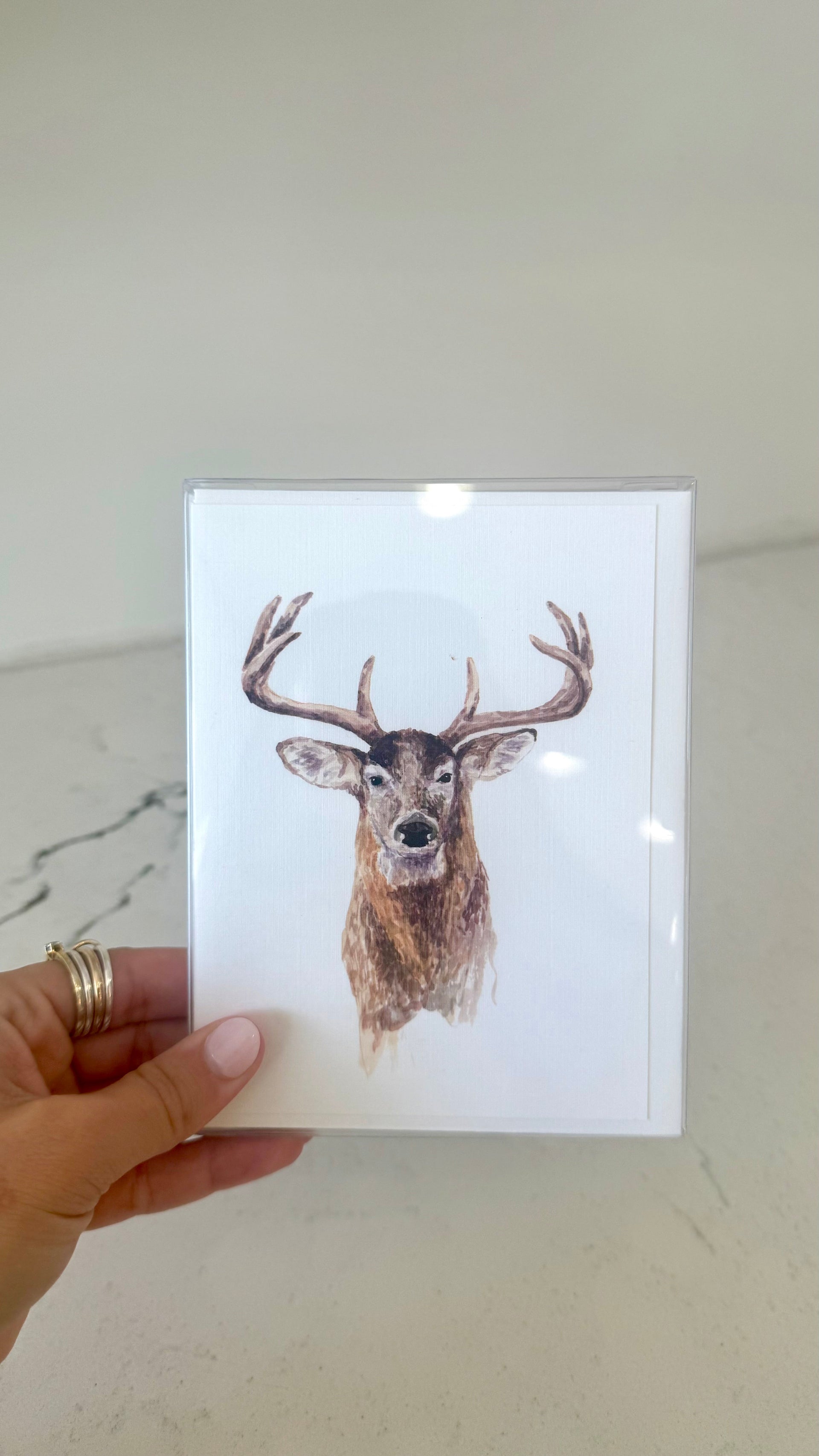 A2 Card & Envelope Set Taylor Paladino