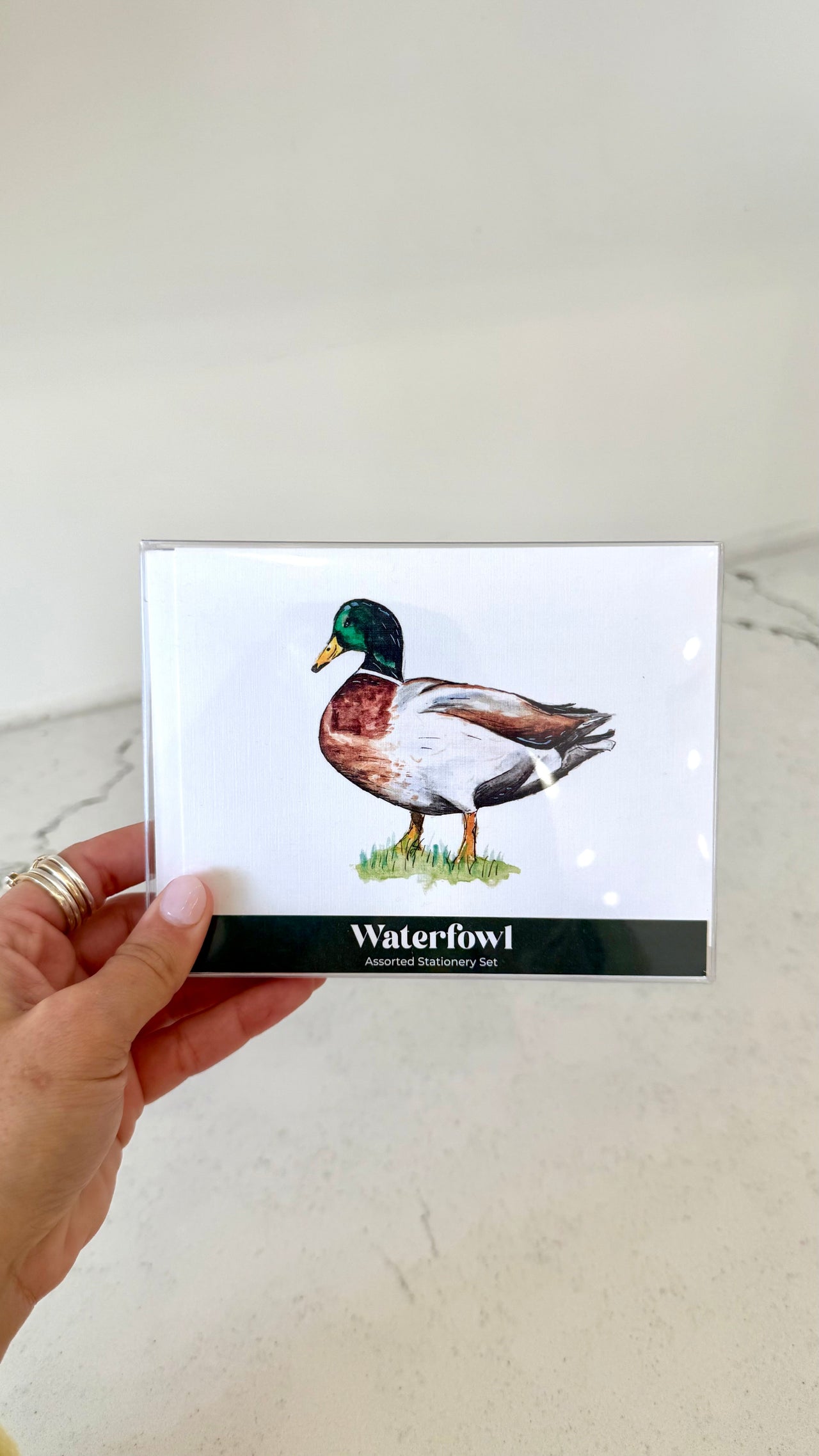 Waterfowl Assorted Stationery Set Taylor Paladino