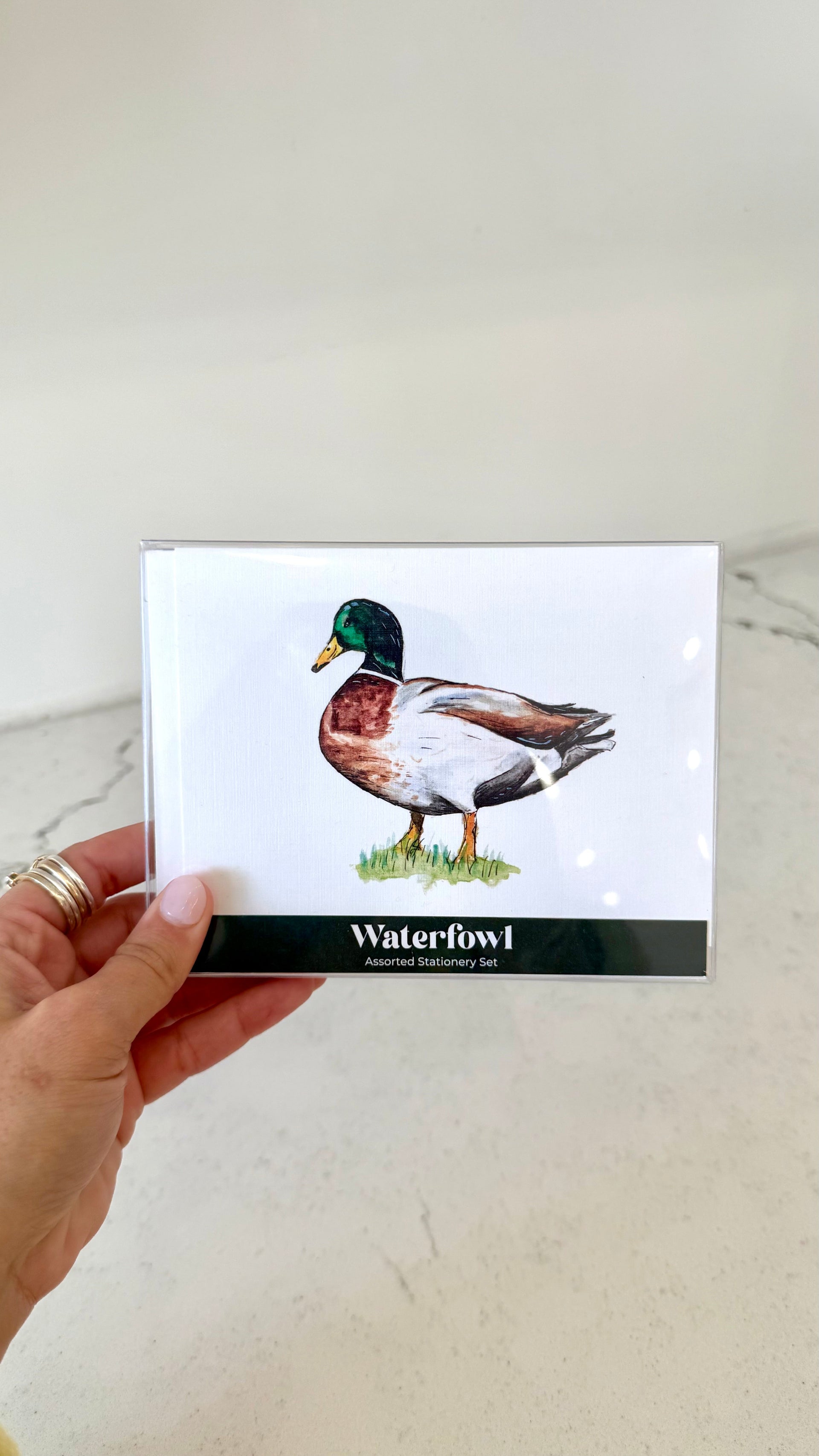 Waterfowl Assorted Stationery Set Taylor Paladino