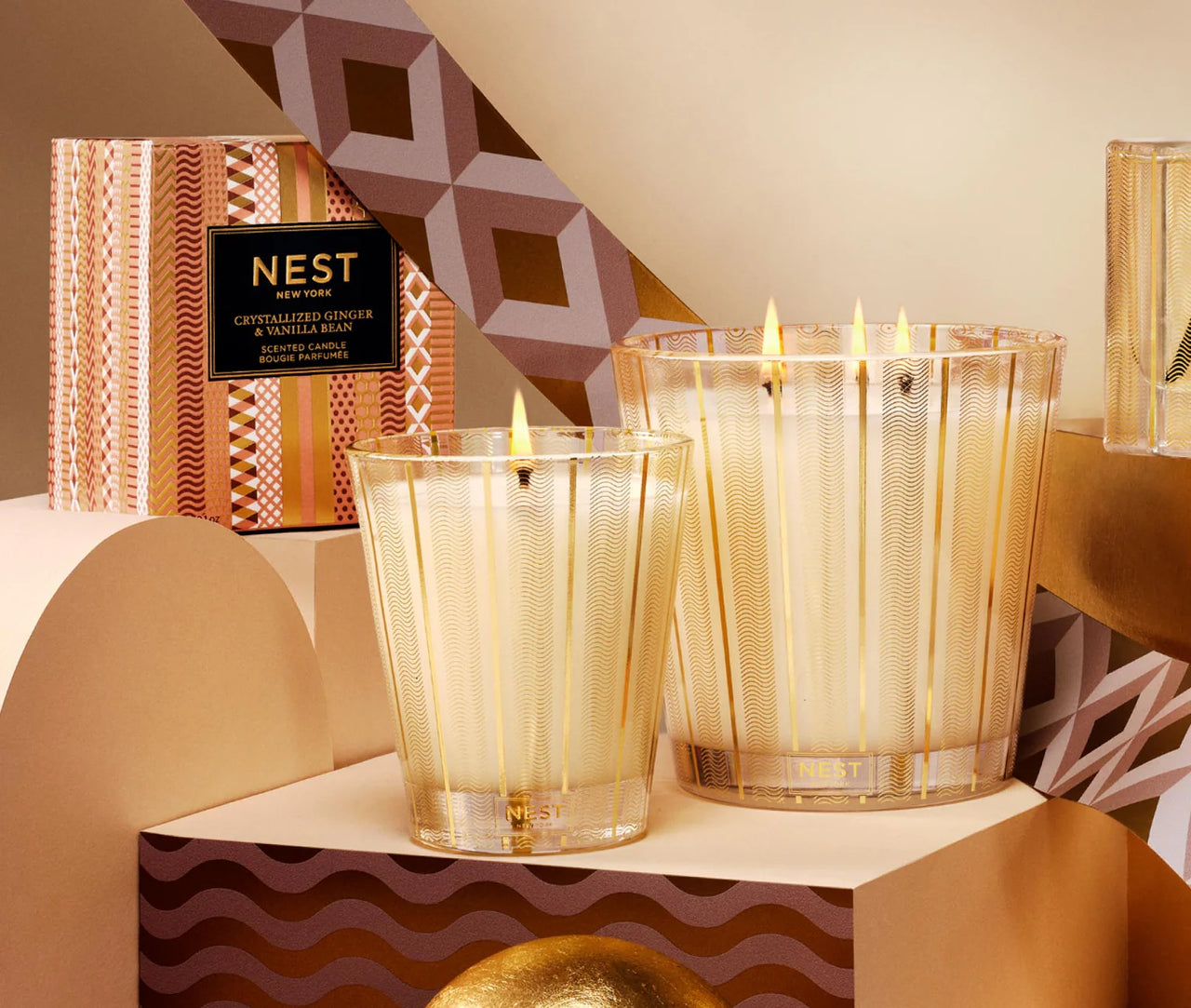 Nest Ginger & Vanilla Bean 8.1oz Classic Candle