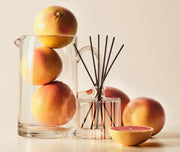 REED DIFFUSER 5.9OZ. GRAPEFRUIT Nest