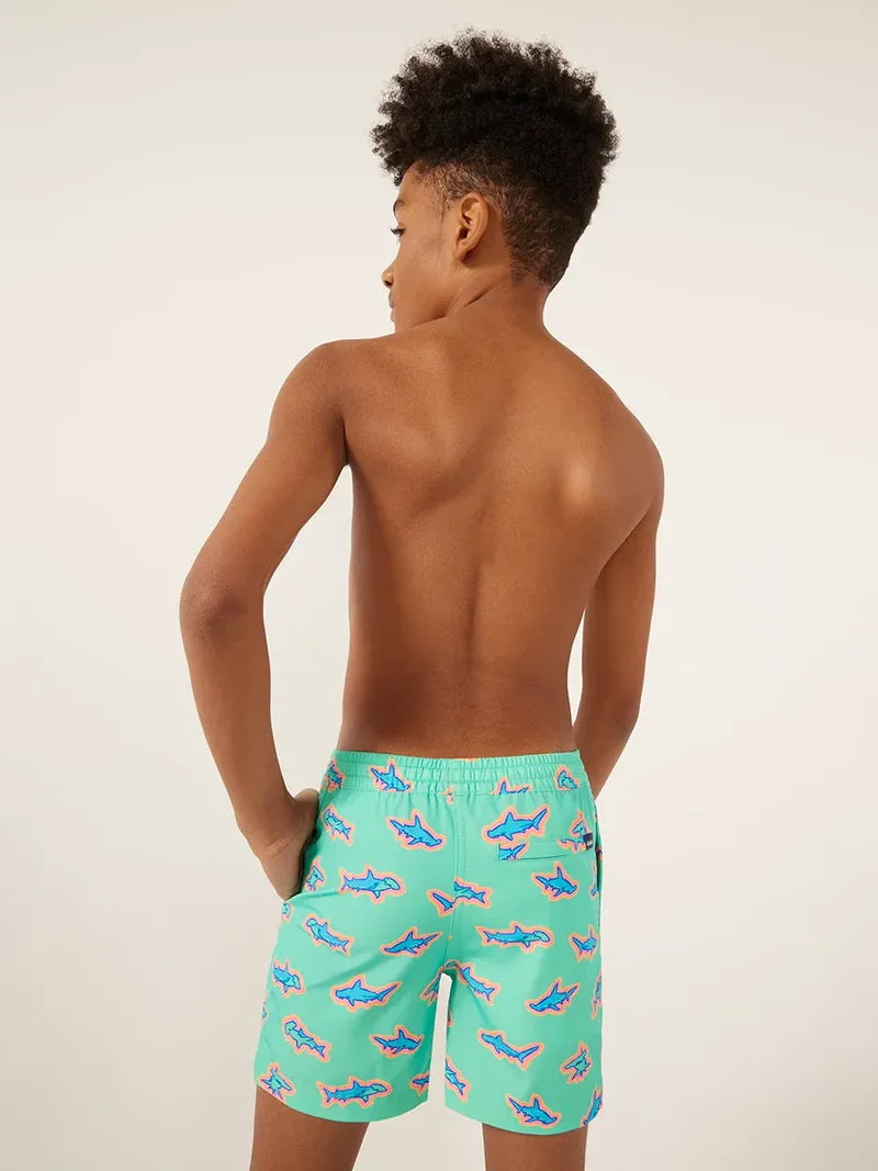 Boys The Apex Swimmers Swim Shorts | Chubbies