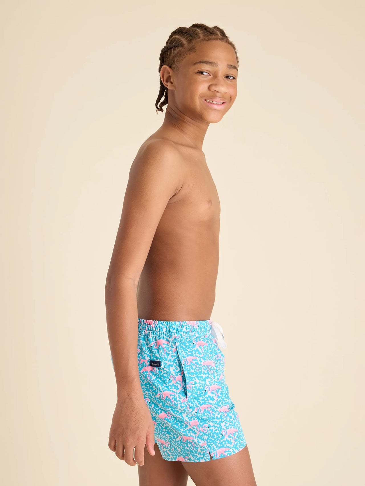 Boys The Domingos Are For Flamingos Swim Shorts | Chubbies