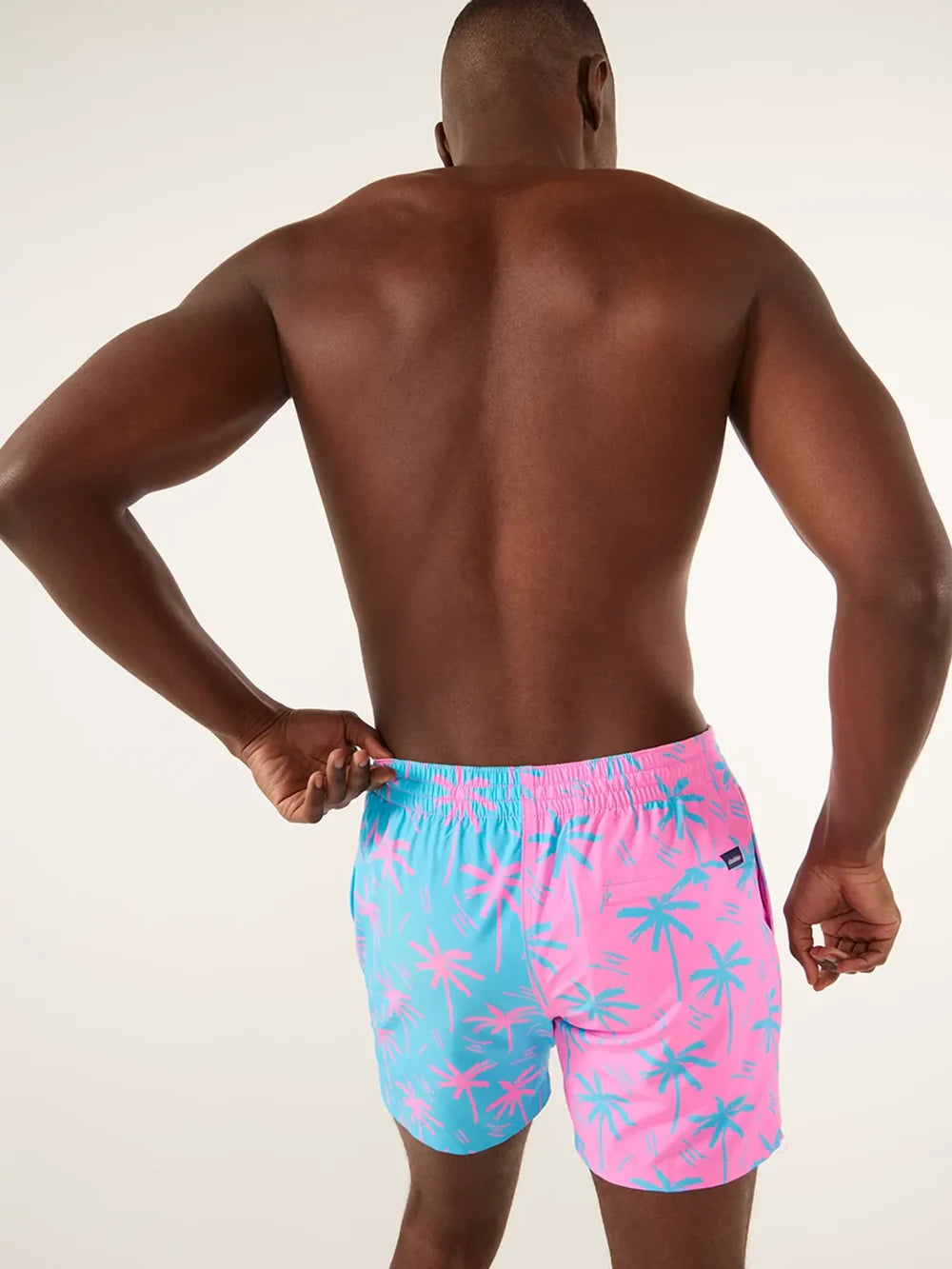 The Prince of Prints 5.5" Lined Classic Swim Trunk | Chubbies Chubbies