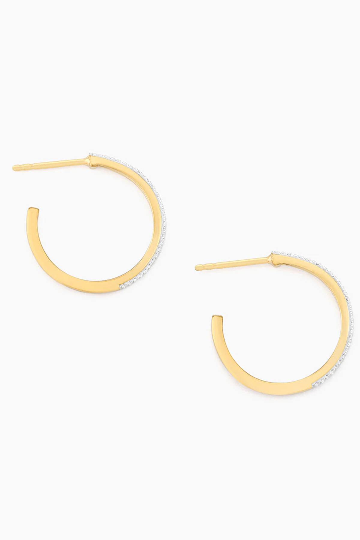 A Hoop Thing Small Hoop Earrings in Gold Ella Stein